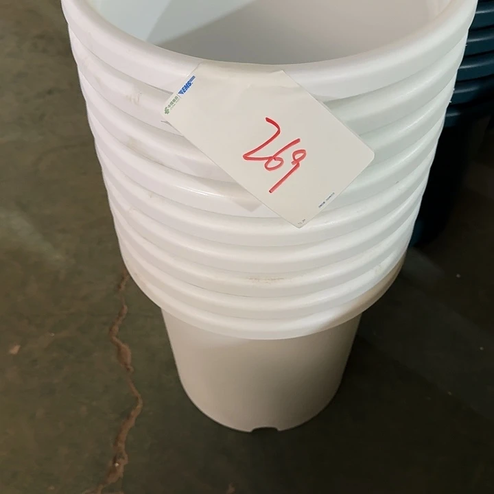 编号269瑕疵6个无托