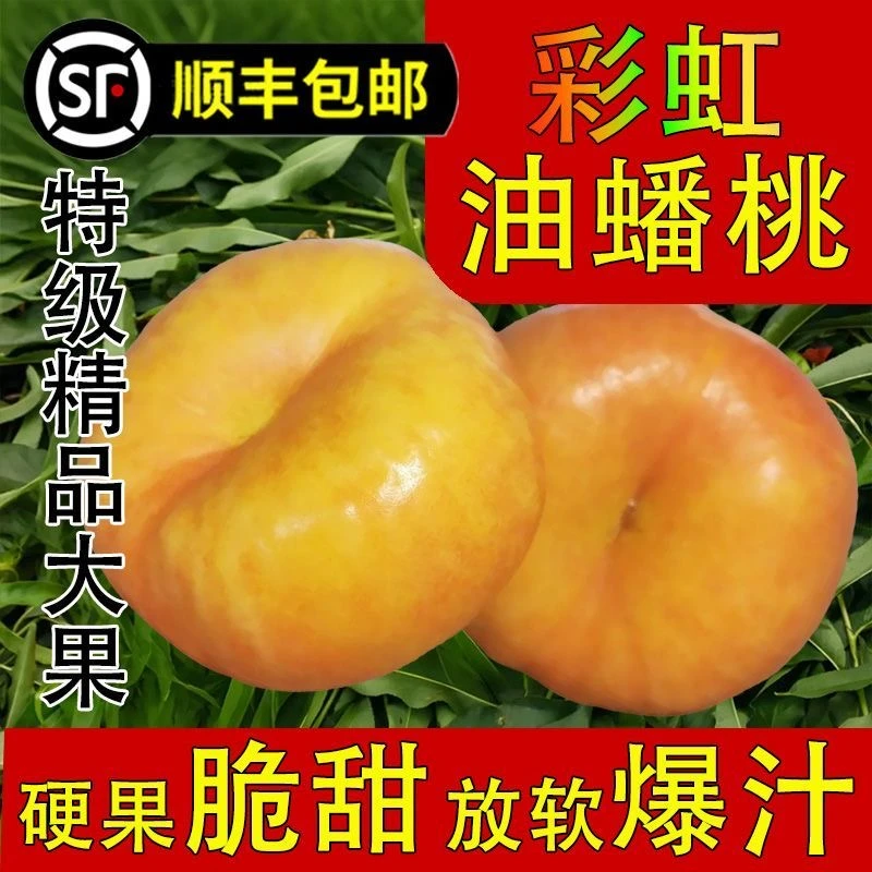 蒙阴彩虹蟠桃单果半斤脆甜糯软食用多汁0防腐剂嫩爽美味顺丰包邮