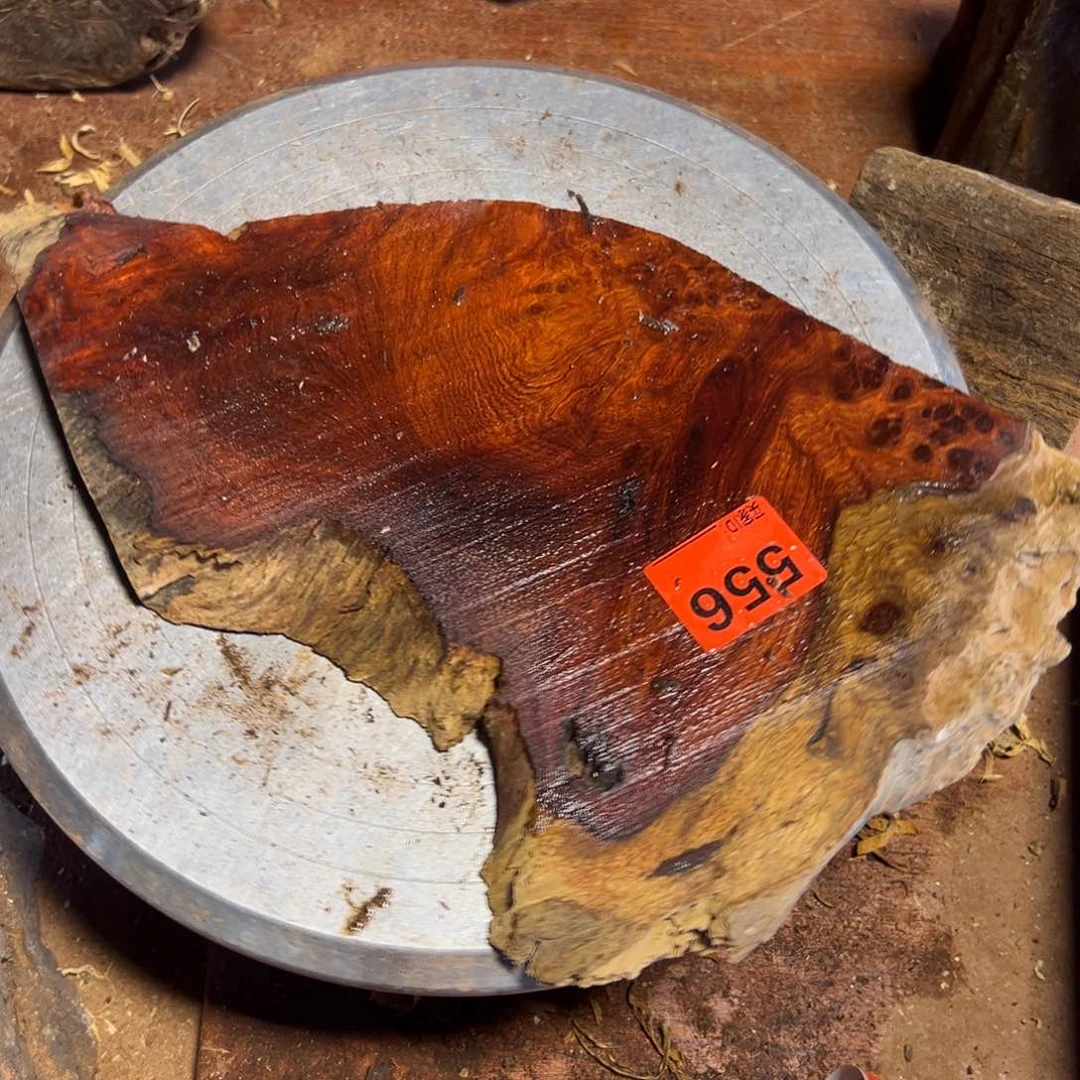 大果紫檀（缅甸花梨）