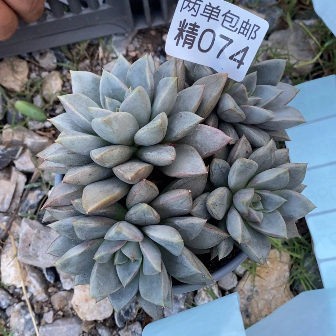 哈哈哈哈哈哈哈74