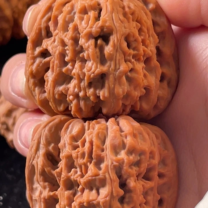 大叶紫檀（黑酸枝木类）