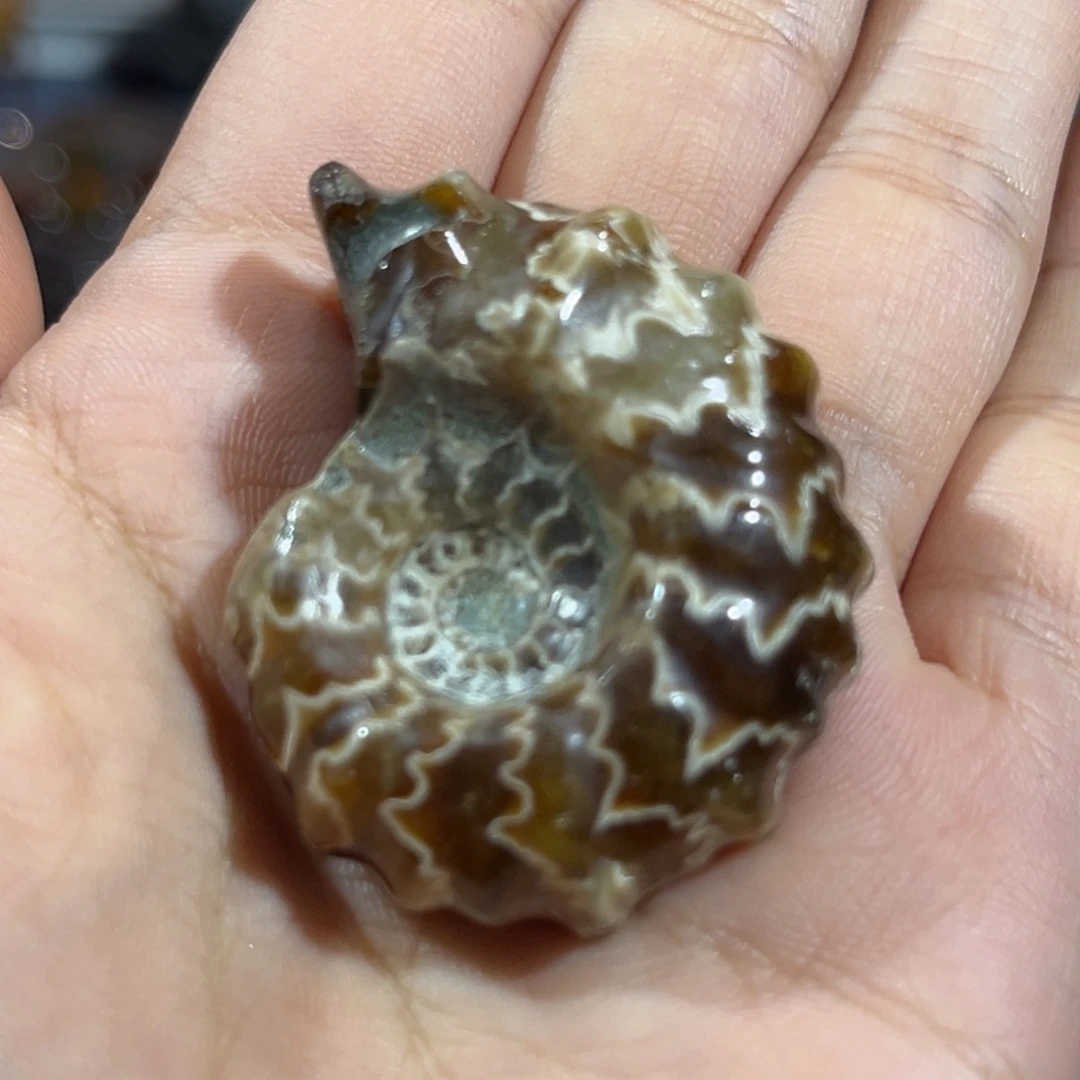 石材用****6补差价正价80 分两次付