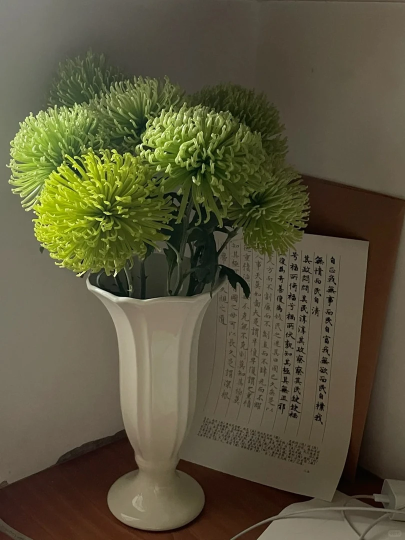 【小菊】小花精选鲜花