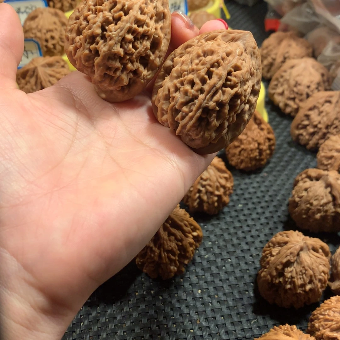 文玩核桃把件粗筋蚂蚁王