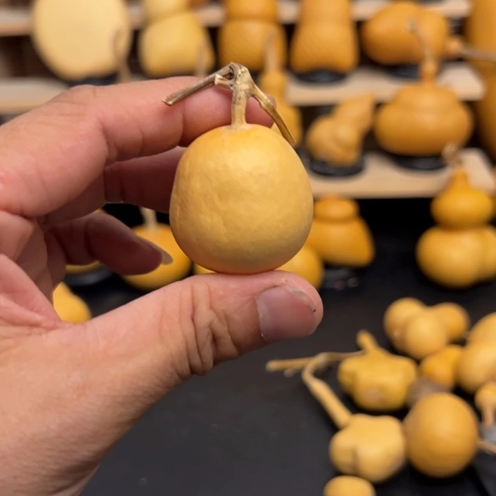 一*呀2665555552569989