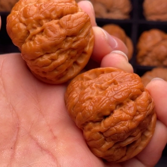 文玩核桃把件秦岭山脉核桃