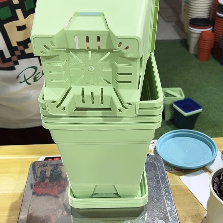 正品方形口20高22果绿带托5个