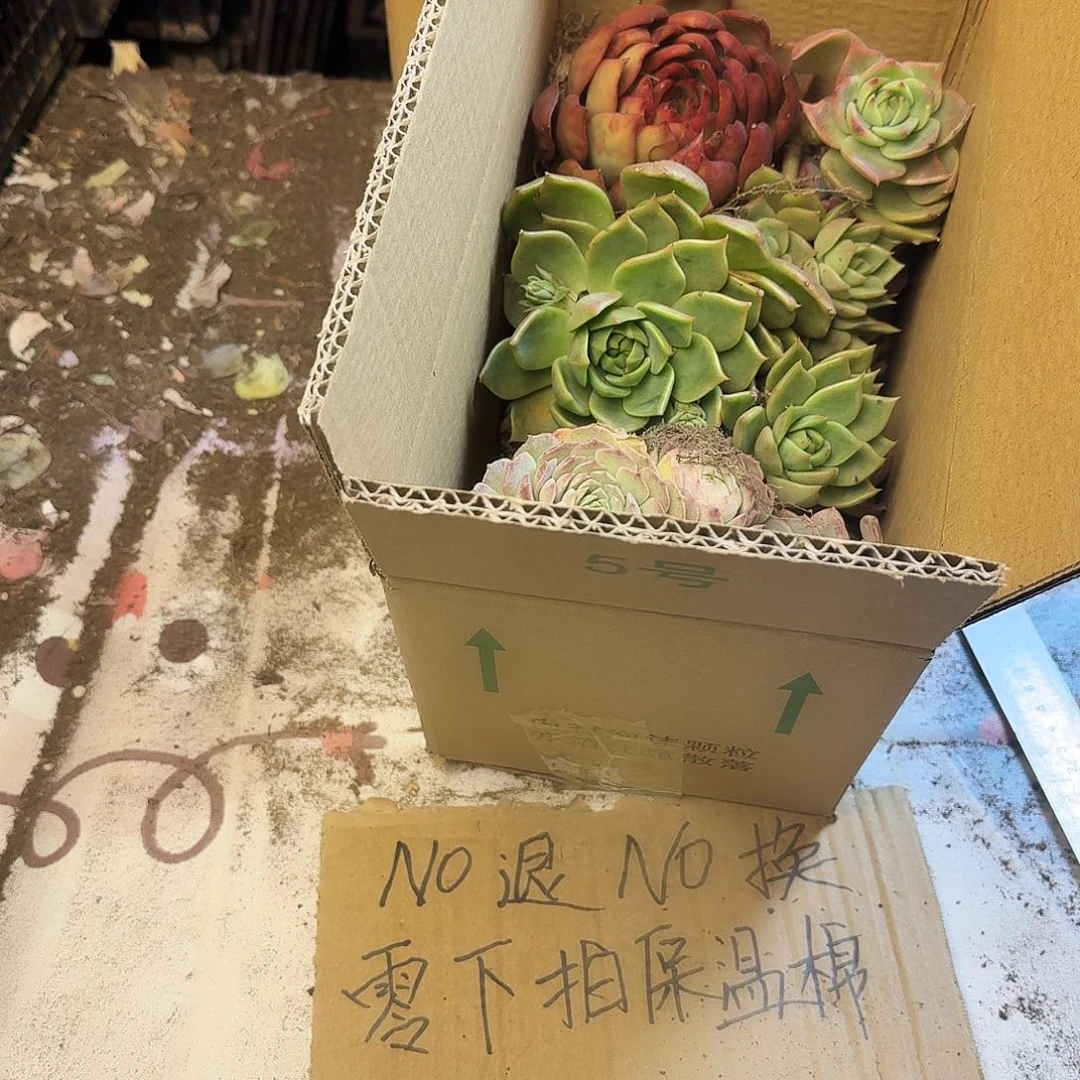 下波福利。         9.9
