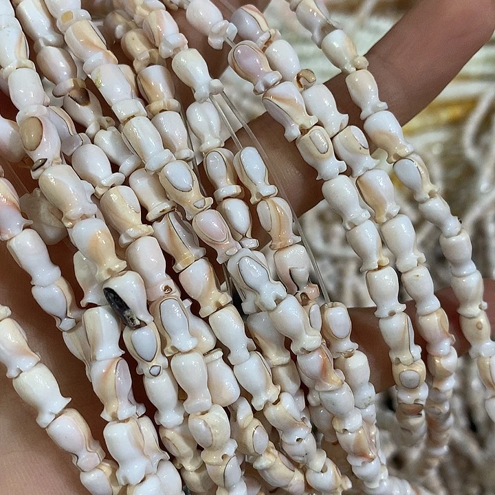 一条虹口螺郁金花一条