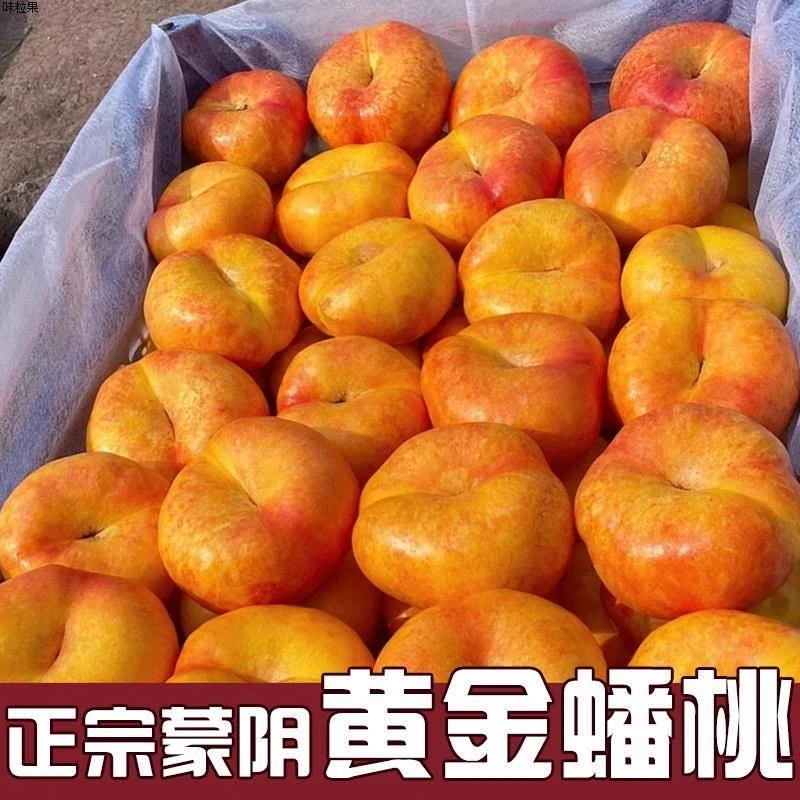 黄油蟠桃当季水果桃子新鲜应季时令整箱蒙阴彩虹蟠桃黄金扁桃现货