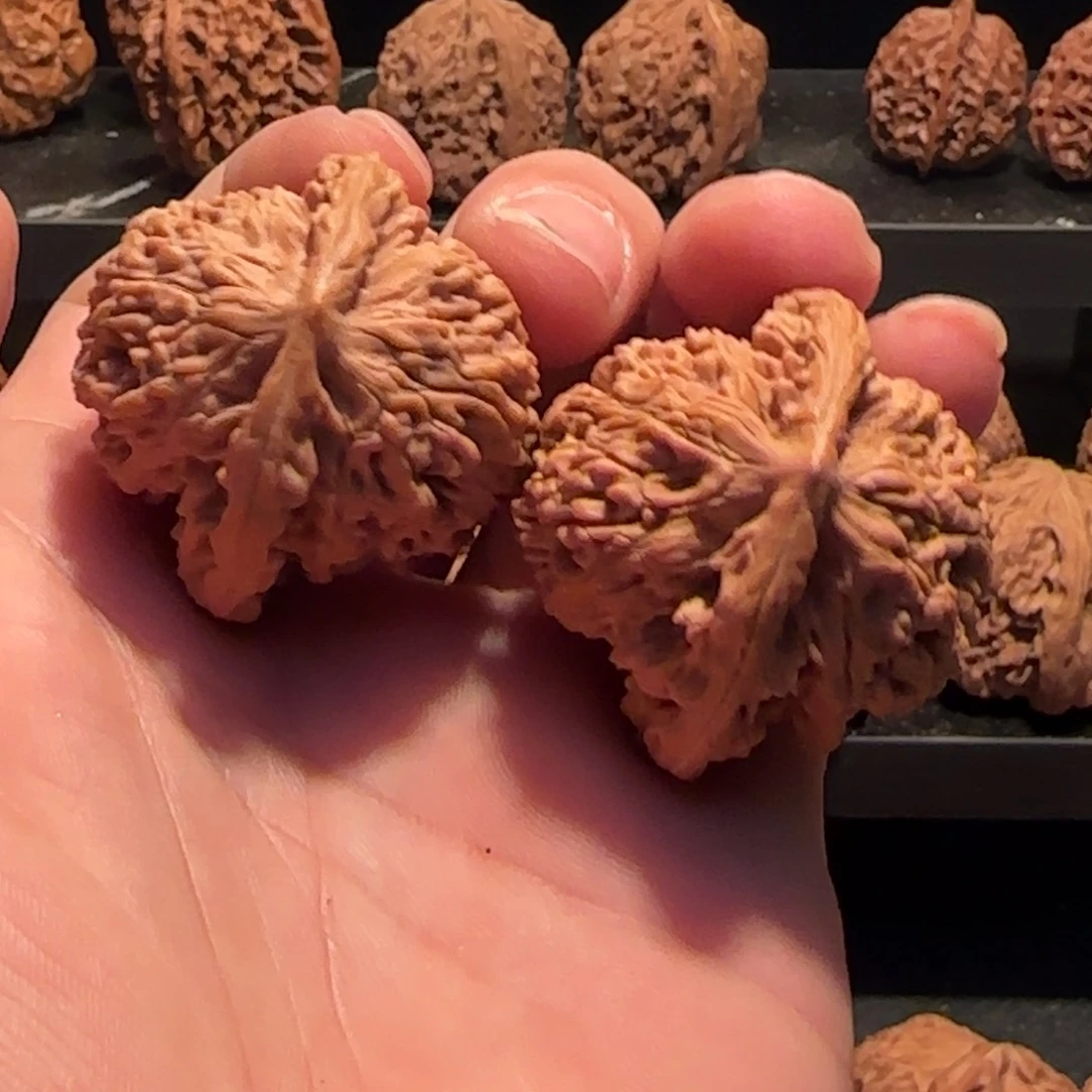 桃核把件蟠龙虎头41