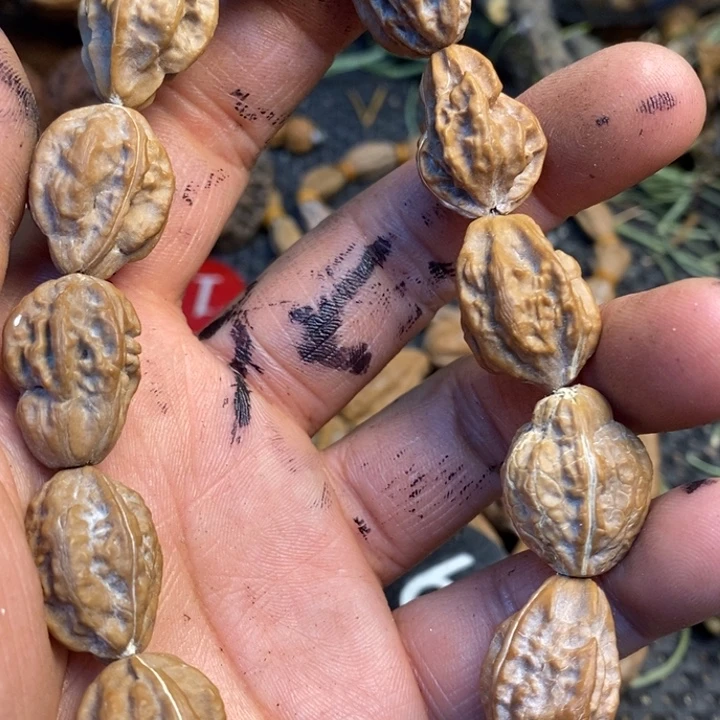 大***宝吊坠文玩核桃娜姐161