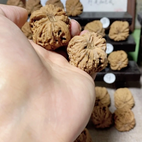 文玩核桃把件今天