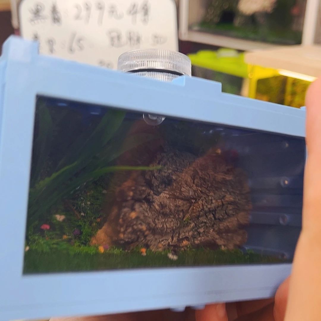 集装箱送虫拍拍拍