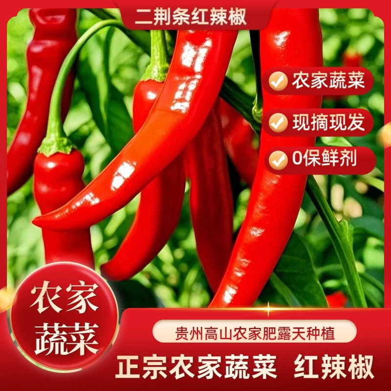 【贵人农产】贵州高山露天种植二荆条红辣椒正宗产地辣椒彩椒农家货