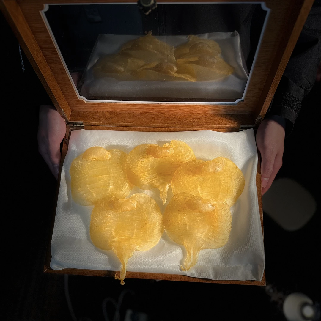 【胶源日记精选】广东本港12.5头湛江赤嘴母胶食用滋补鱼胶干货