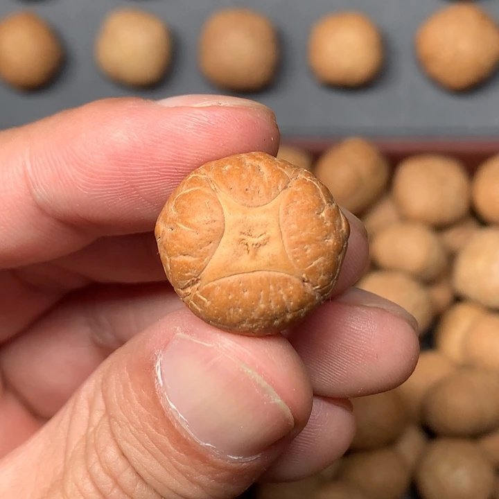 凤眼菩提吊坠19.5mm尼泊尔麒麟眼