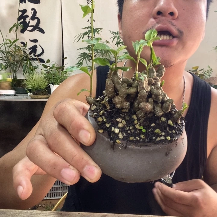 遇***见无花朵退款拉黑拉黑311