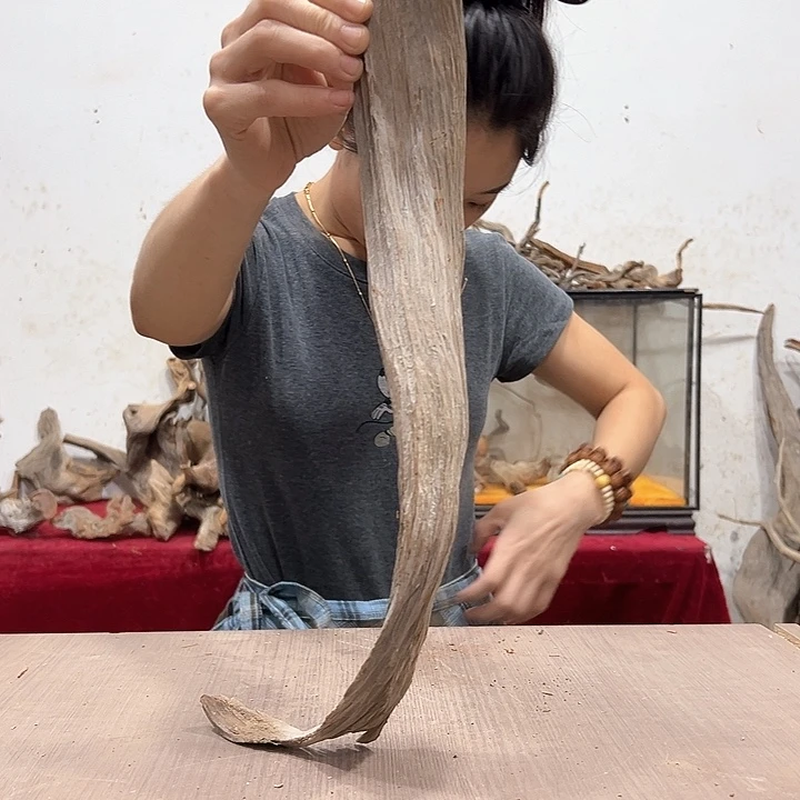 柏木祈*我们的生活也