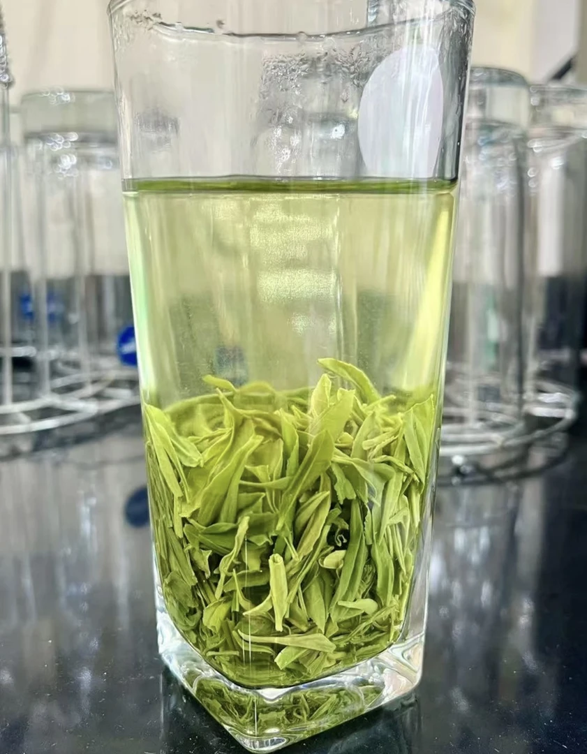 神农架2025高山明前毛尖新茶明前绿茶芽毛尖茶叶嫩芽