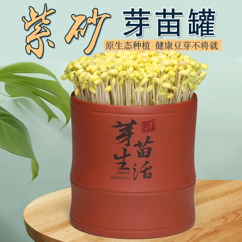 宜兴紫砂芽苗罐豆芽机家用实用发芽盆发豆芽神器水培芽苗绿色蔬菜