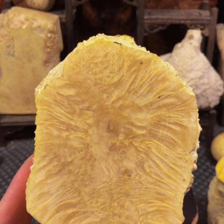 木～**～木料木料木料女童