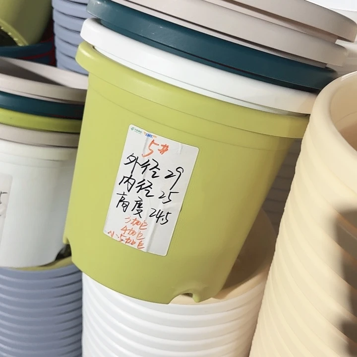 四季5#果绿5个无托口径29