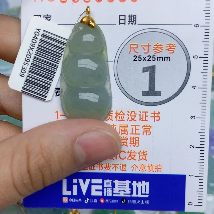 翡翠18K金镶嵌颈饰豆子