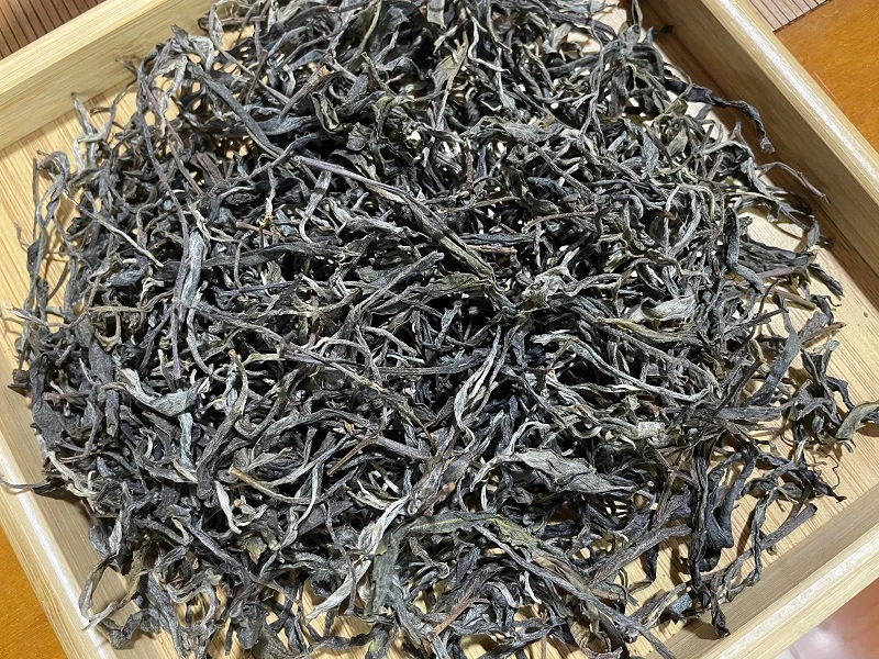2025年大雪山头春野放老树(散茶)