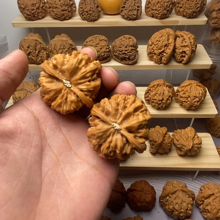 把件核桃二*二43尺全品大粗筋一物一图