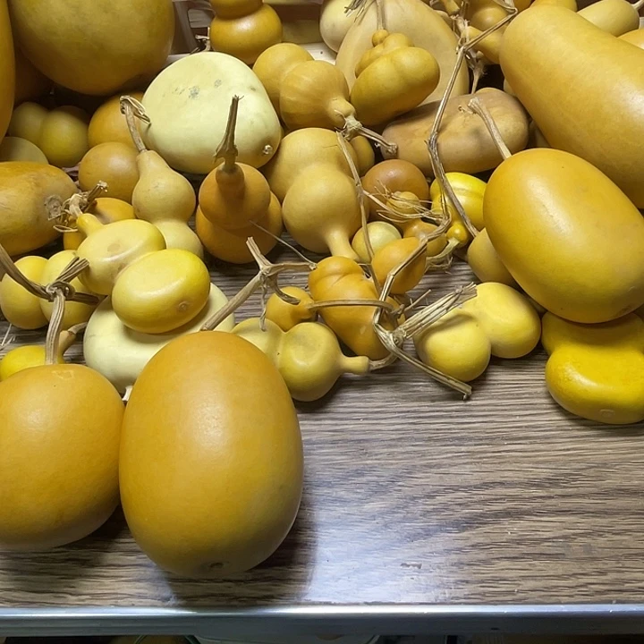 木***子恍恍惚惚红红火火