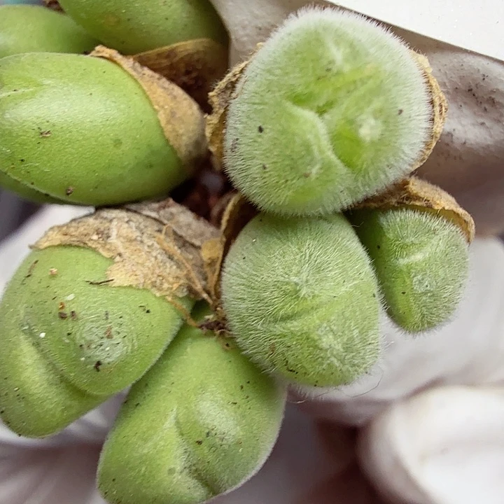 好了好呀这段太253你