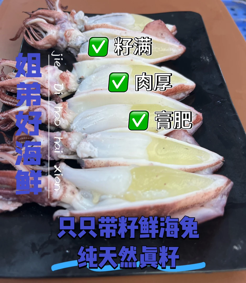 【只只满籽天然真籽】精品大号母海兔约13只/斤纯天然真籽无冰净重