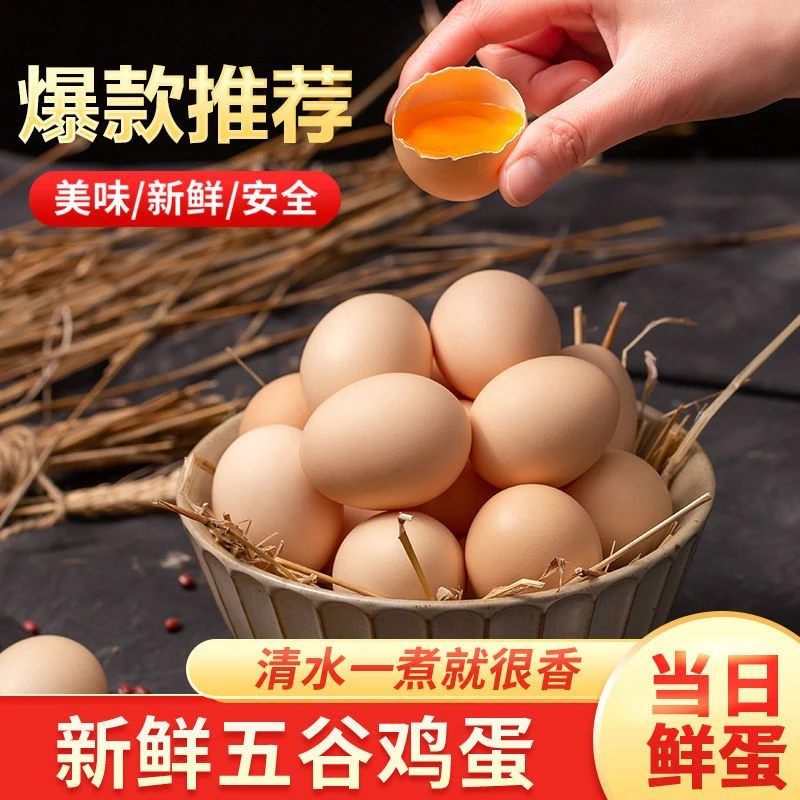 苏北土鸡蛋新鲜林下谷物喂养当天现捡现发农家散养草鸡蛋笨鸡蛋