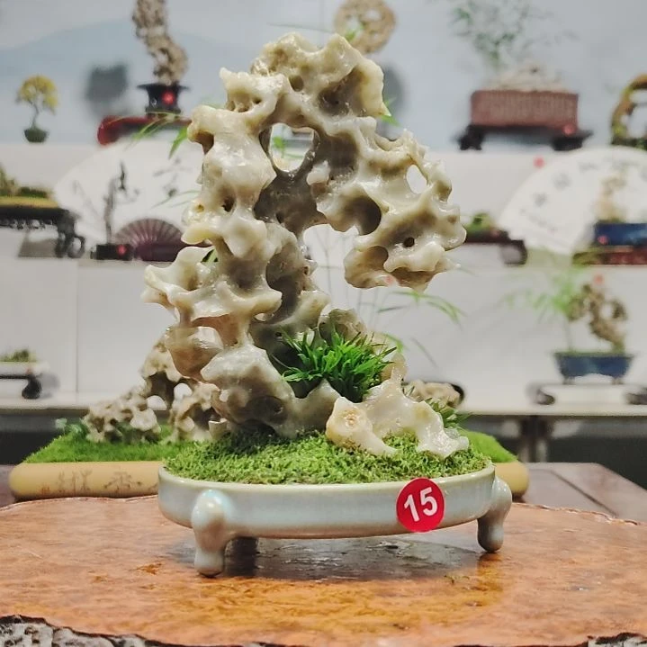 浙****司盆景，玉玲珑，菖蒲，