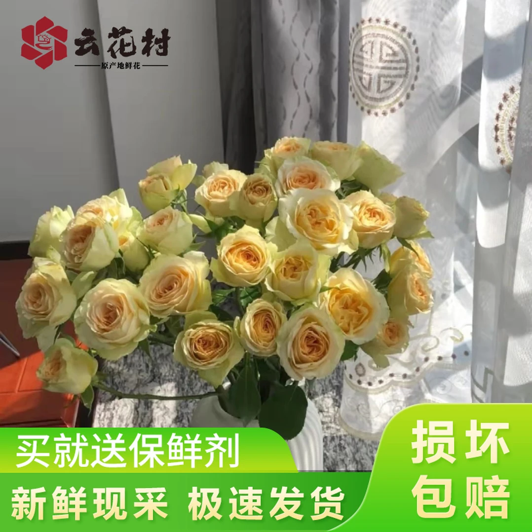 牛油果泡泡10支 【全店任意满两件发顺丰京东】云南昆明鲜花直发