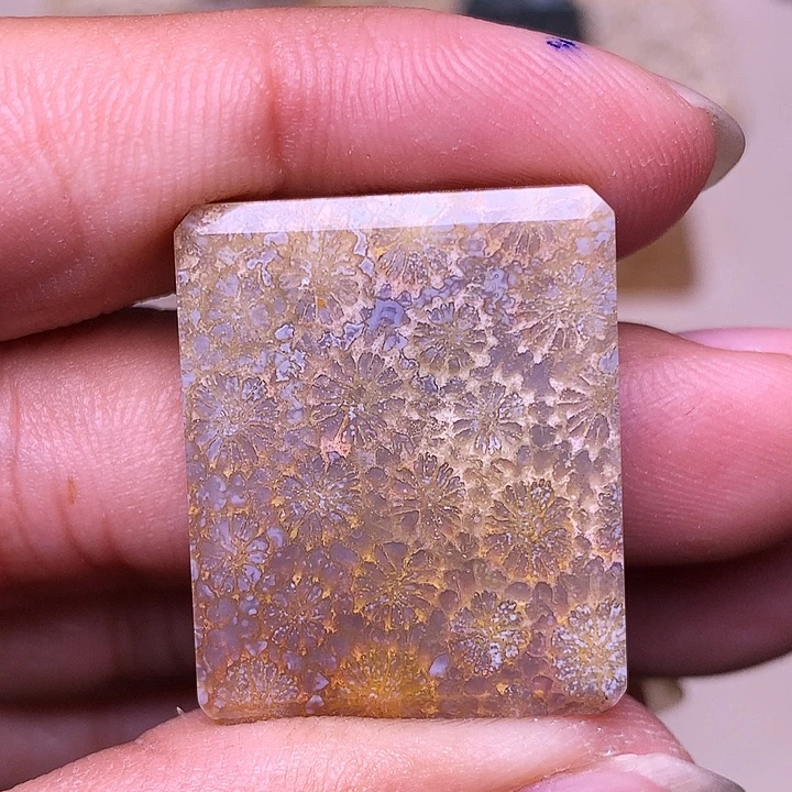 s***。硅化玉合金珊瑚玉