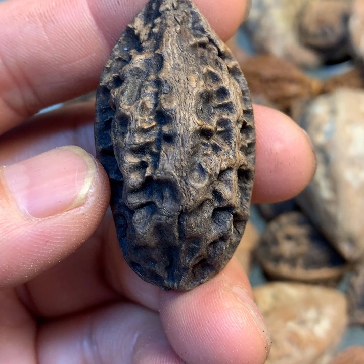 文玩核桃吊坠拿姐82