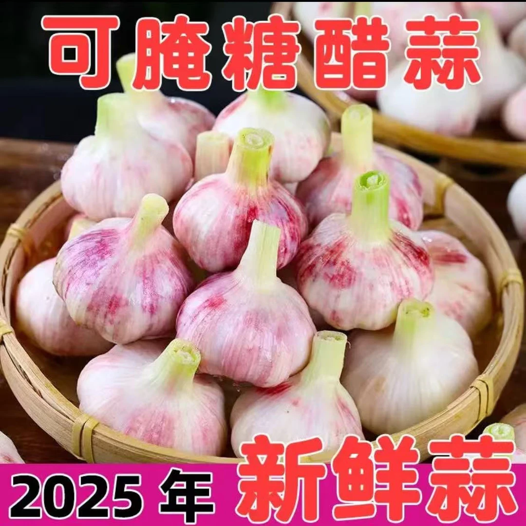 2025新鲜紫白皮蒜批发价鲜蒜正宗红皮湿蒜泡糖醋专用特大鲜蒜种子