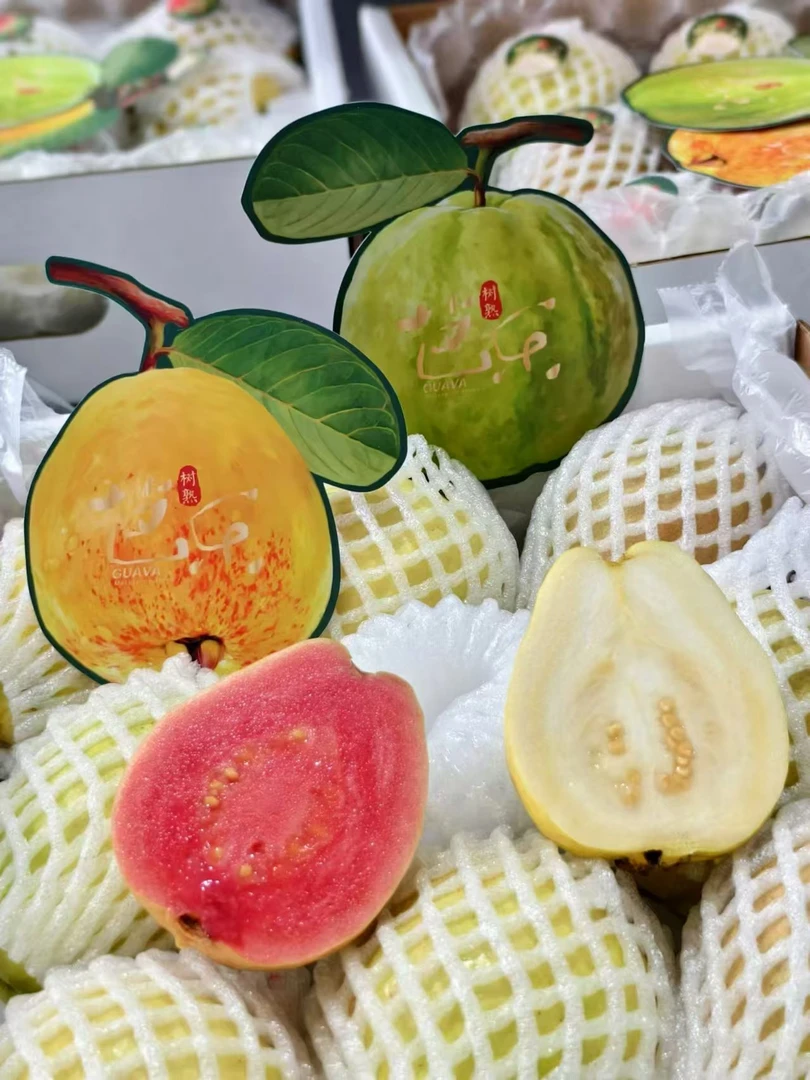 【新疆包邮.品质生鲜】芭菲乐树熟双拼芭乐天花板口感