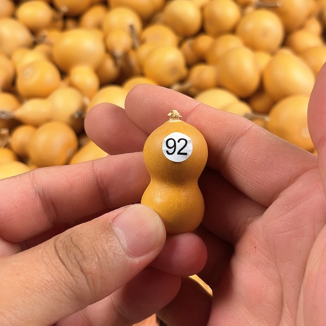 葫芦葫芦葫芦葫芦葫芦92