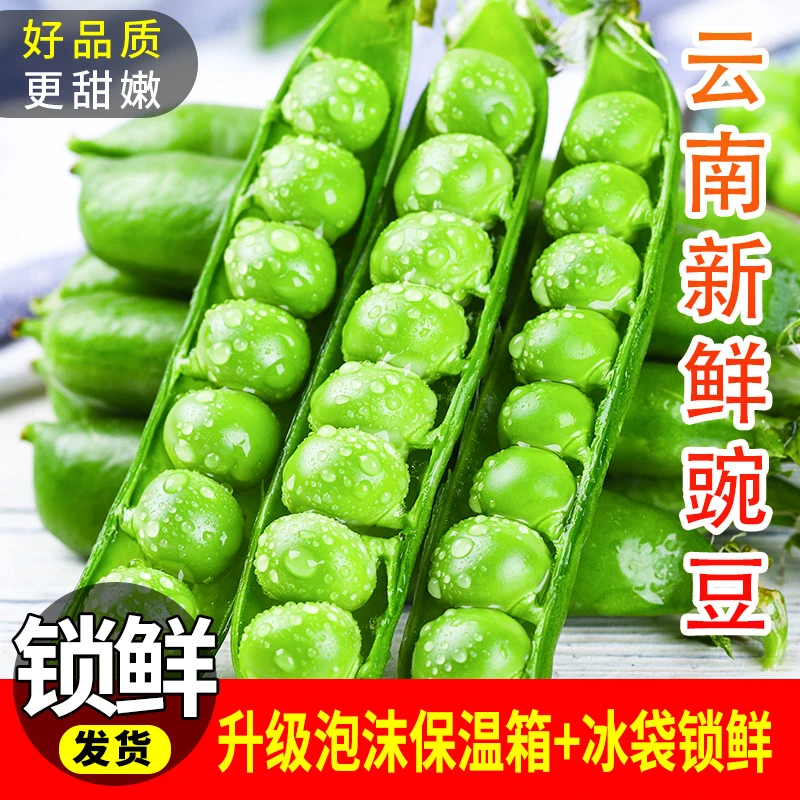 云南新鲜豌豆 甜豌豆水果豌豆时令蔬菜现摘甜嫩饱满
