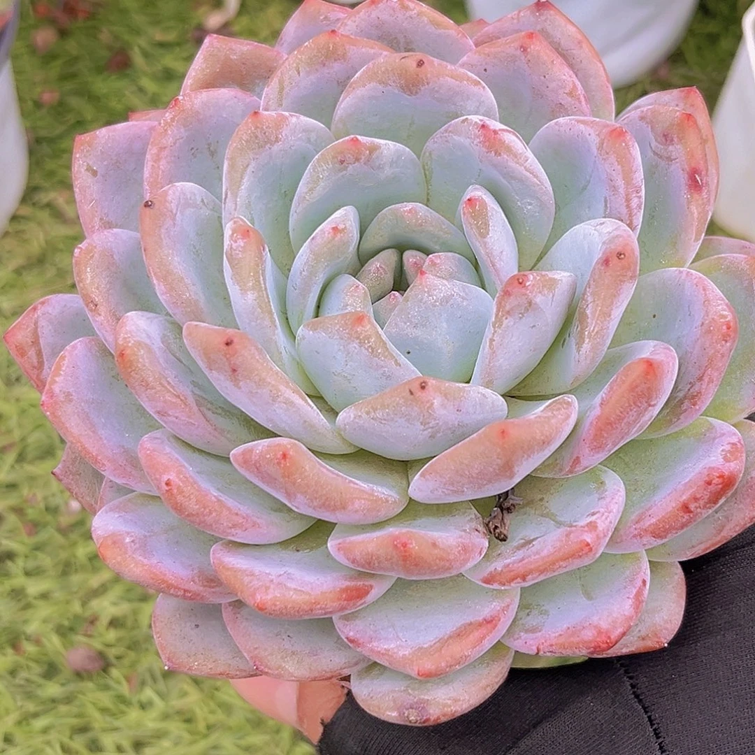 6666666666666666666666