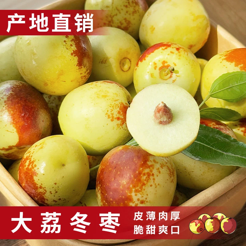 【喜柿】陕西大荔冬枣3斤装 单果15g起  东三省可发