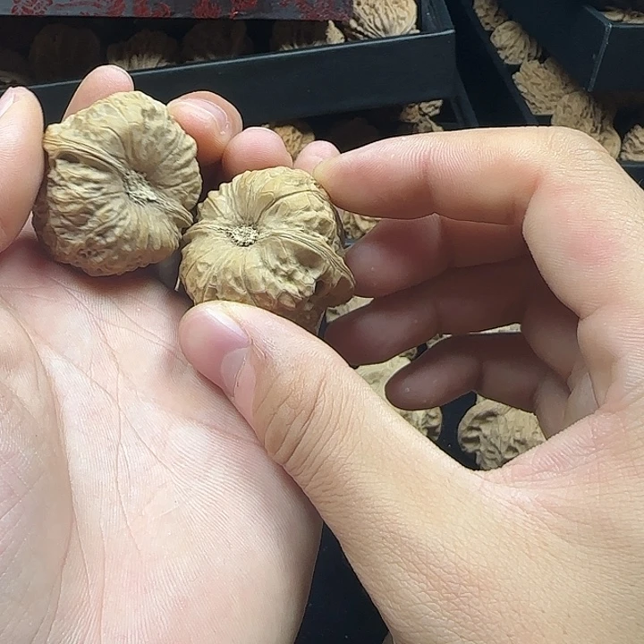 ****‍吊坠龙脊菩提啊啊啊啊啊啊南瓜1