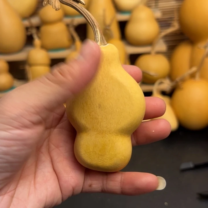 ?*?葫芦葫芦葫芦葫芦葫芦葫芦葫芦