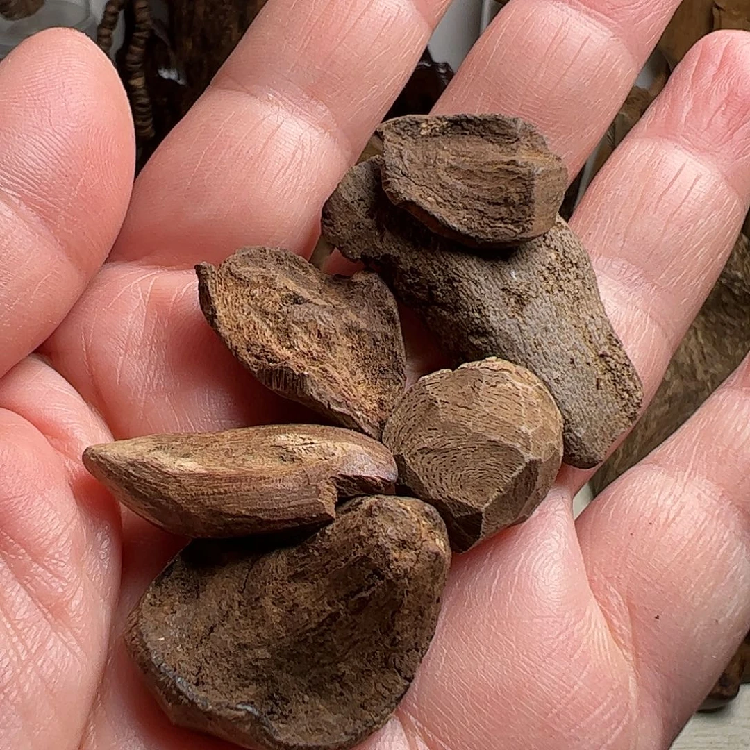 沉香沉香碎屑菲律宾九分沉土沉5克