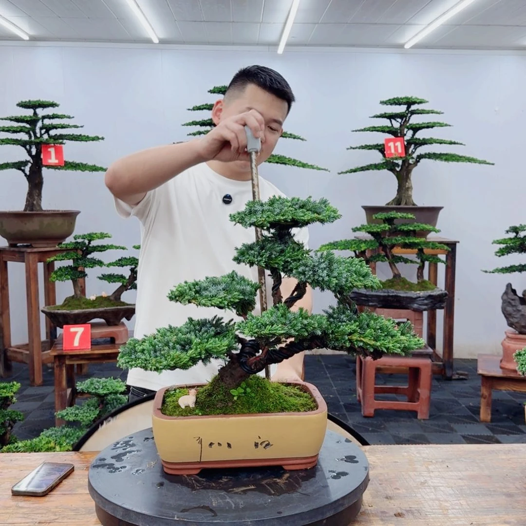 无花朵启**工88888888888888