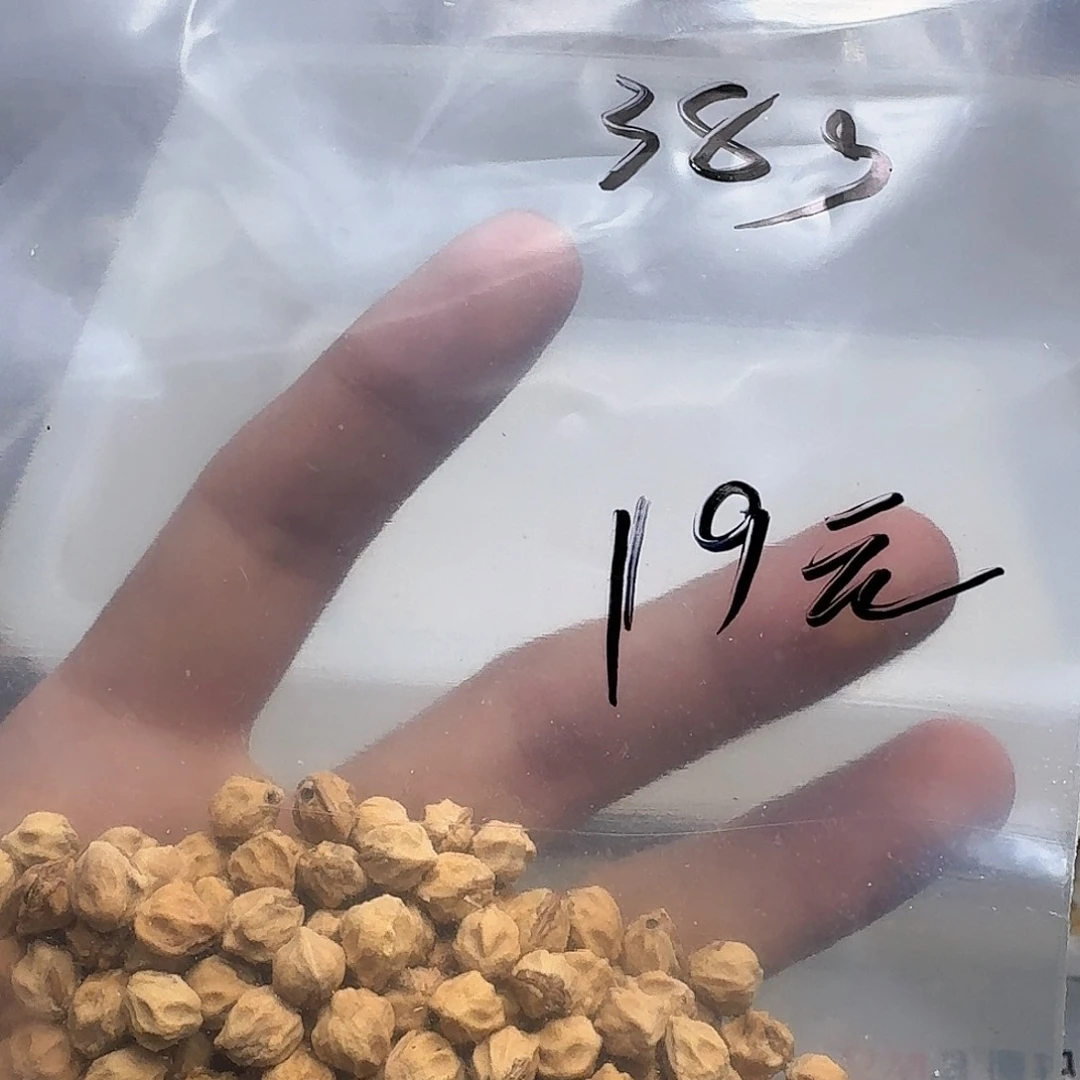 柏香籽/百香籽吊坠設***濤