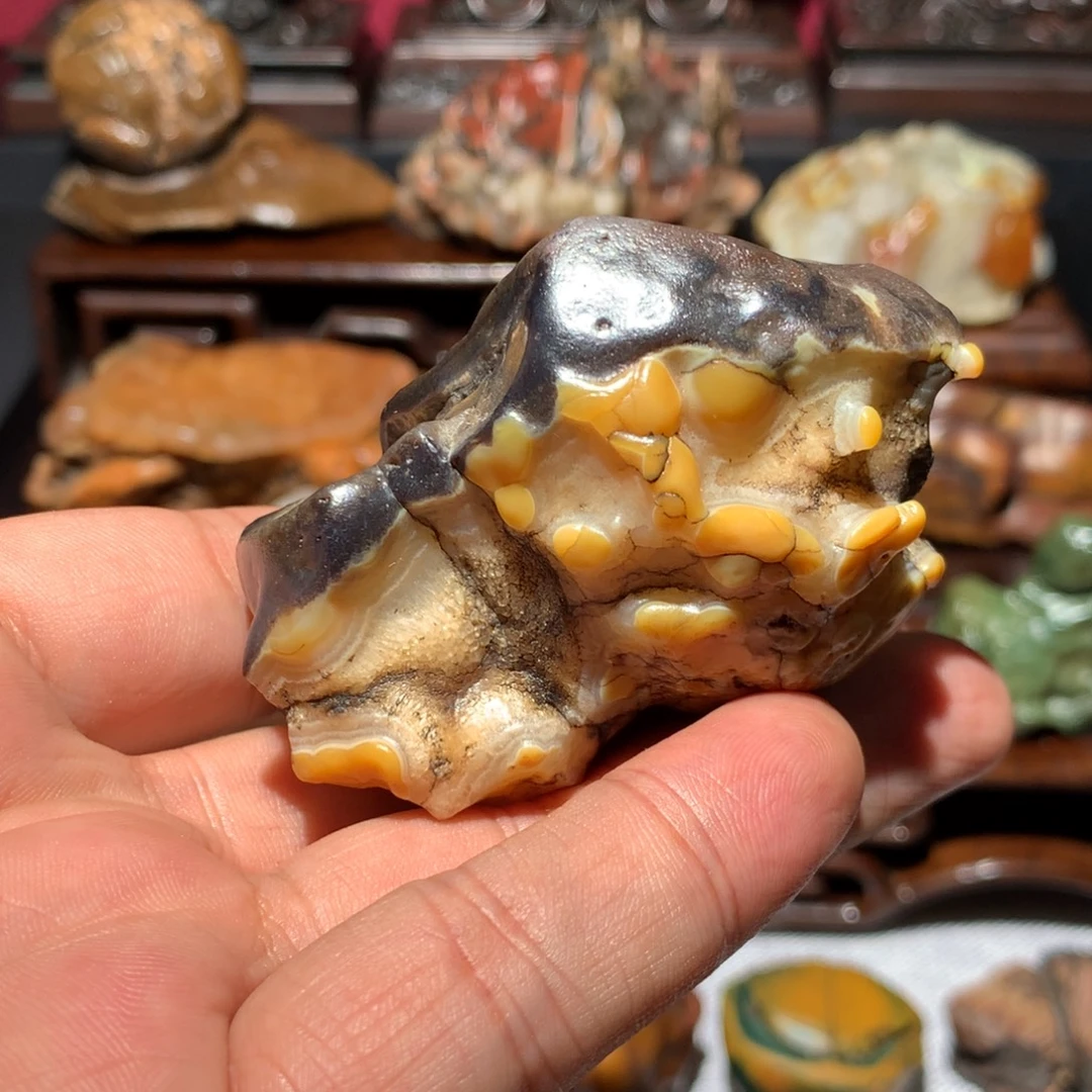 石材沙漠漆花点共生小兽